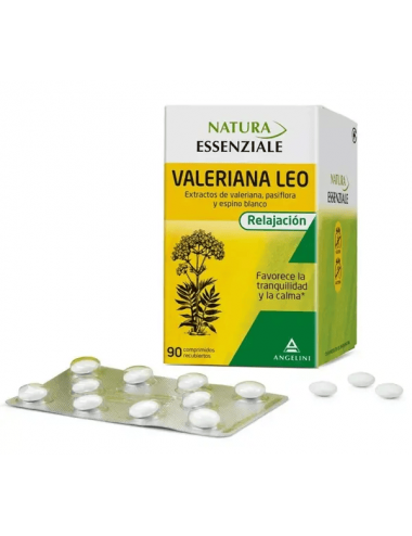 VALERIANA LEO 90 COMP ANGELINI