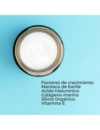 SEGLE COFRE ANTIAGING PIEL...