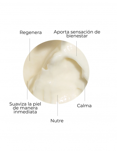 SEGLE CREMA SKIN FACTOR 50ML