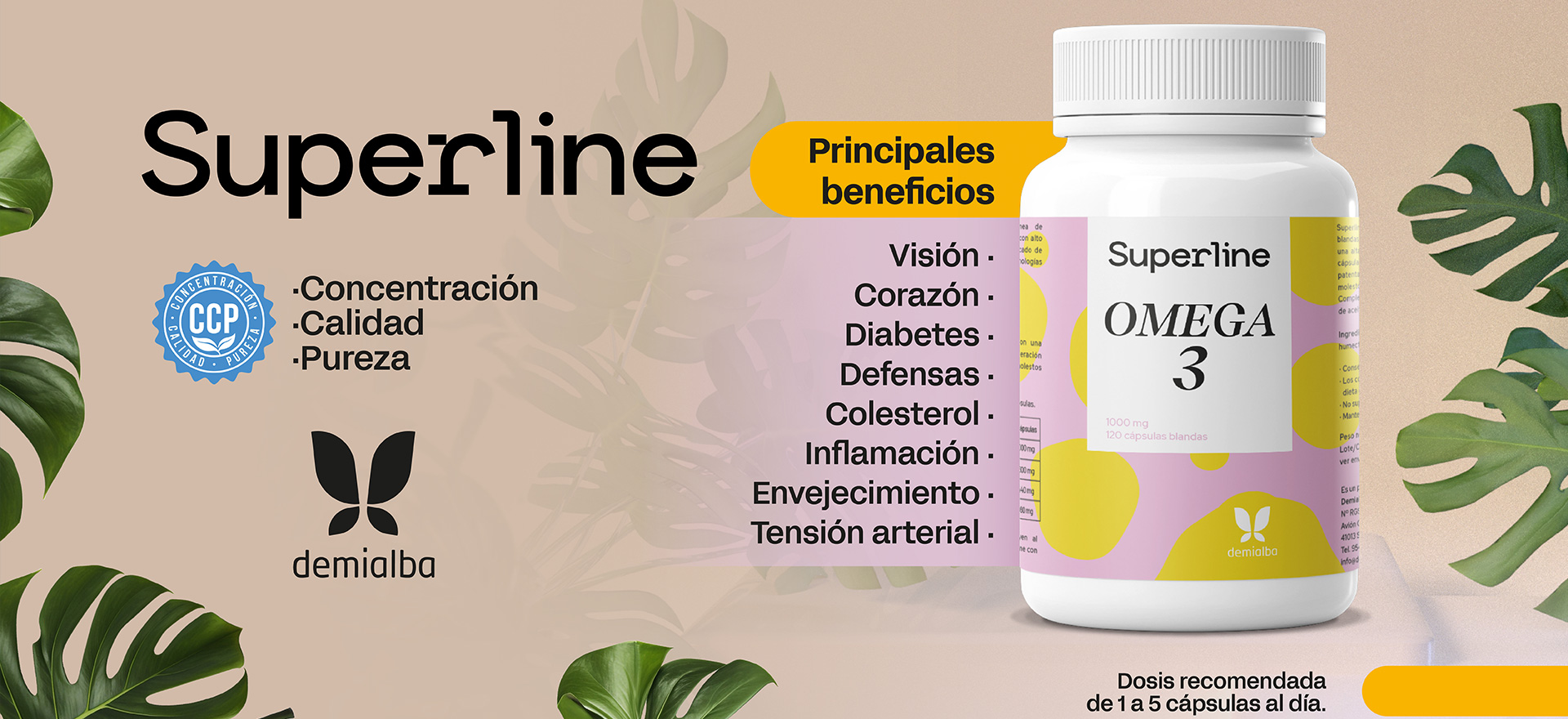 omega3diapositiva